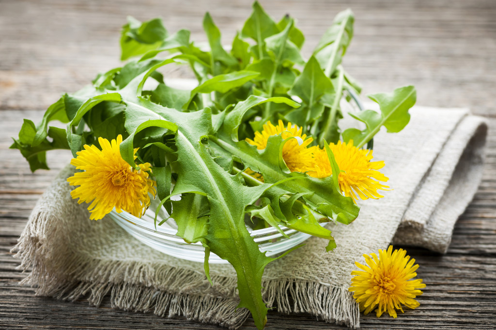 edible dandelion greens recipe