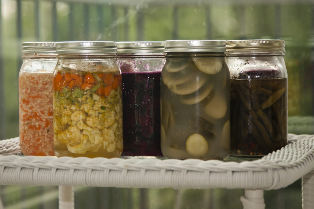 fermented probiotic foods