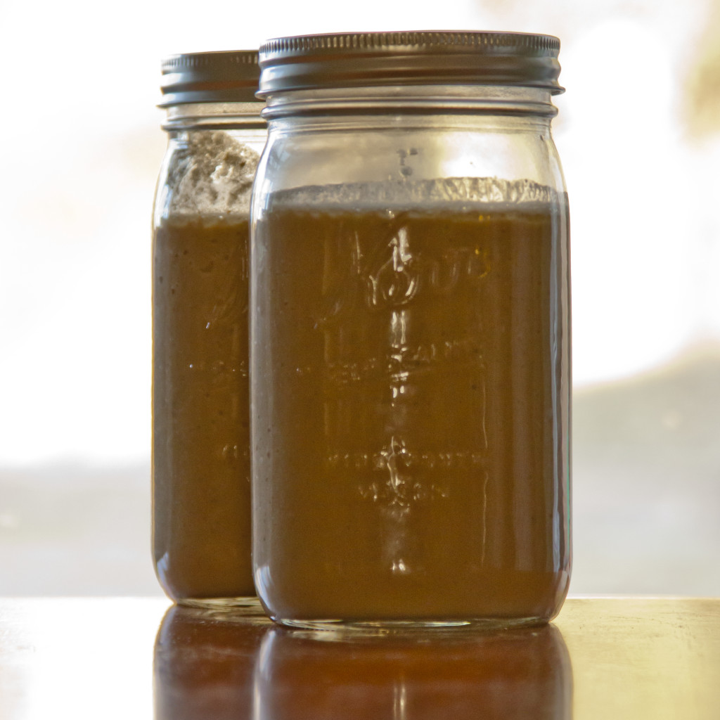 Healing bone broth