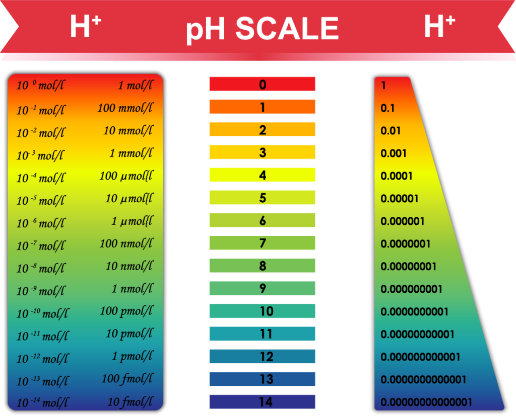 alkaline diet food, pH scale, understand pH, each reduction in pH is 1000x more acidic.